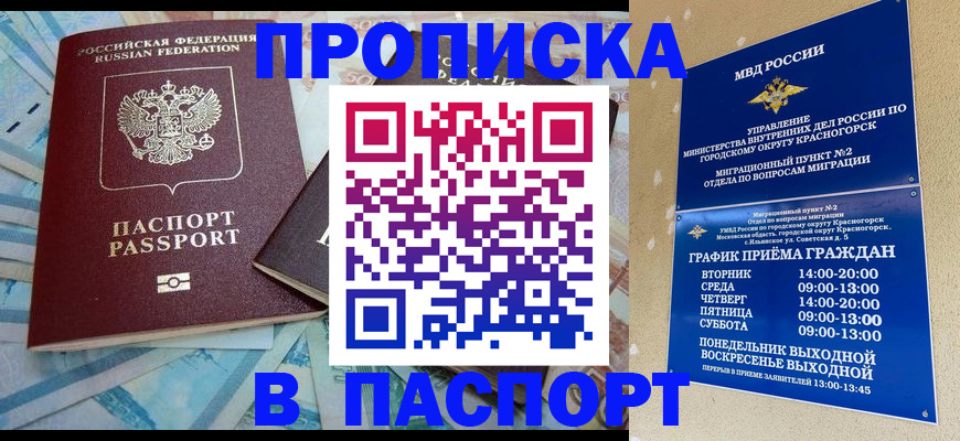 найти адрес прописки в Полярных Зорях